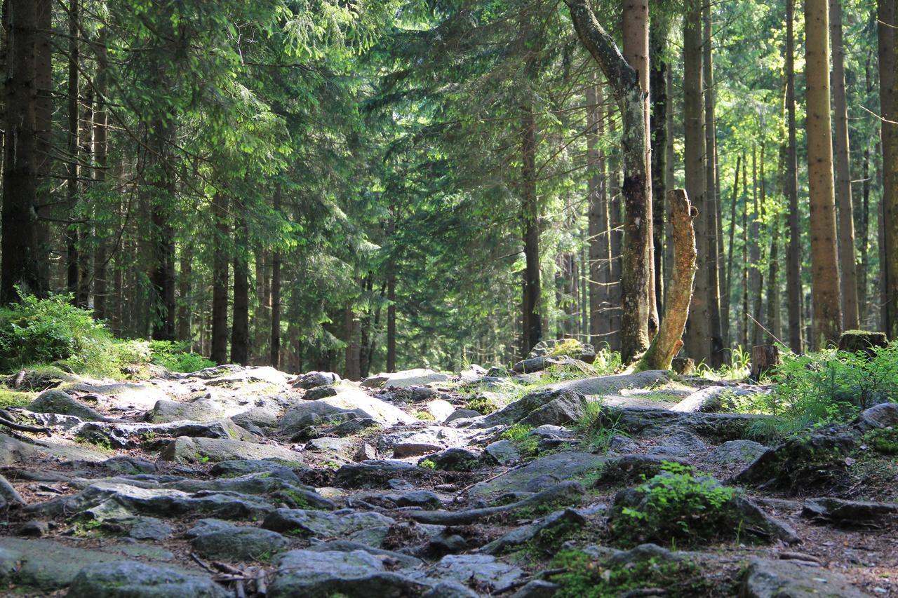Appartamento Wohlfuehlort In Der Ferienresidenz Wurmbergblick Braunlage Esterno foto